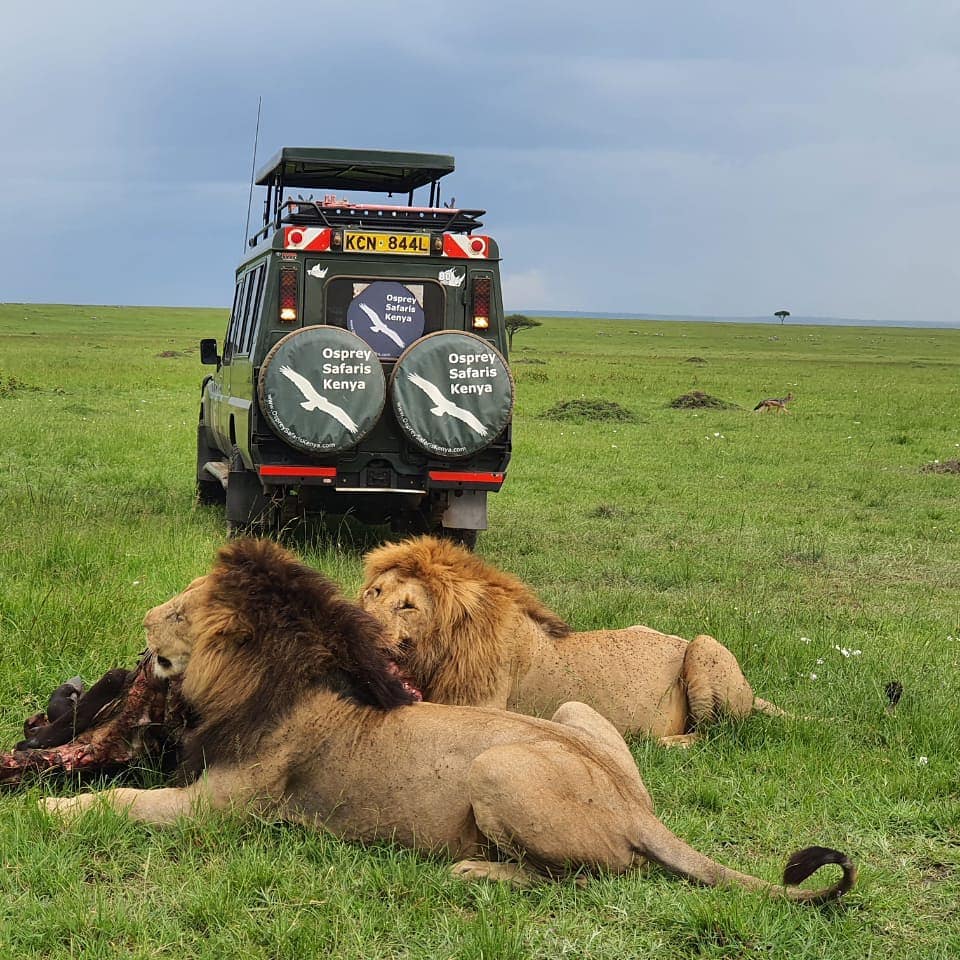 Kenyan National Holiday in the Mara